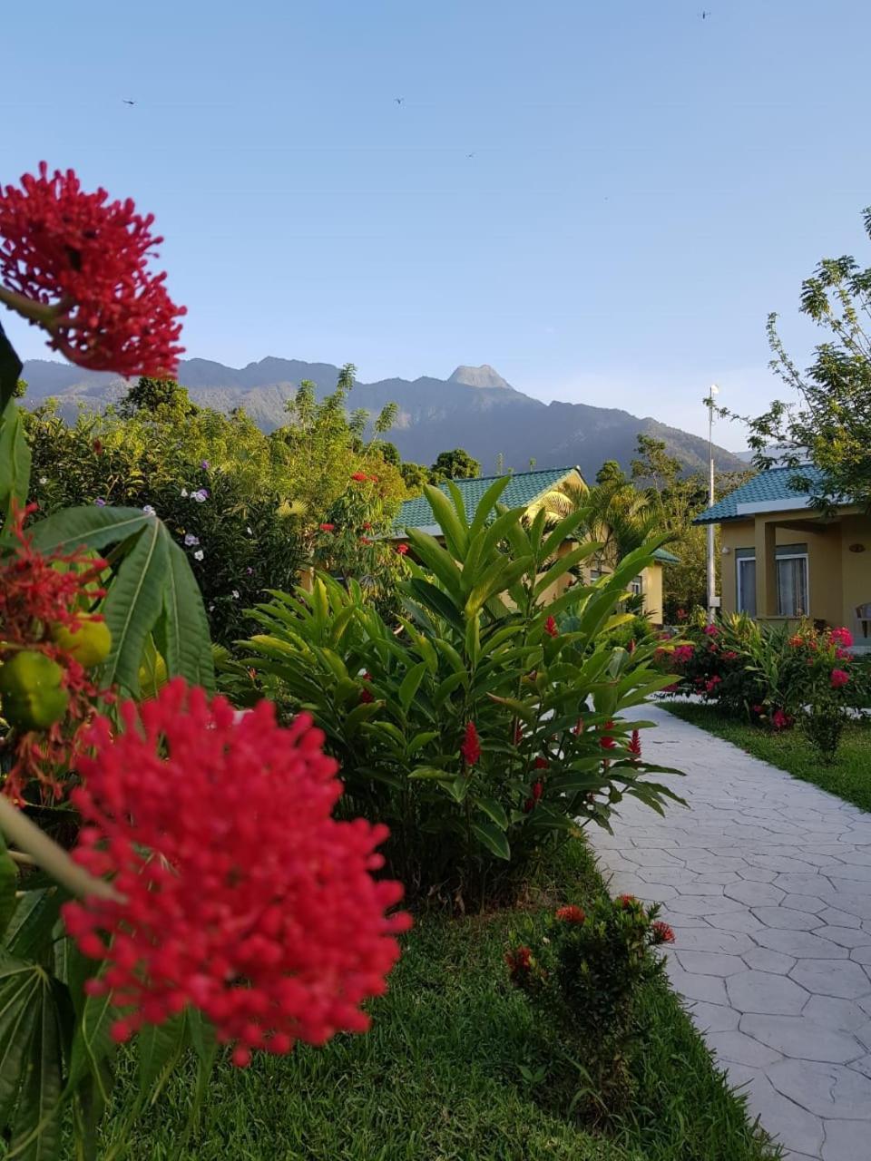 Corinto Pearl Eco Resort El Pino Exteriör bild